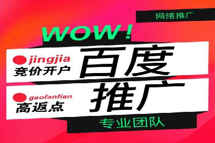 百度推广费用标准与实际案例分享